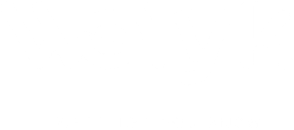 Welyk logo